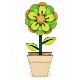 Kis cserepes virág – Zinnia